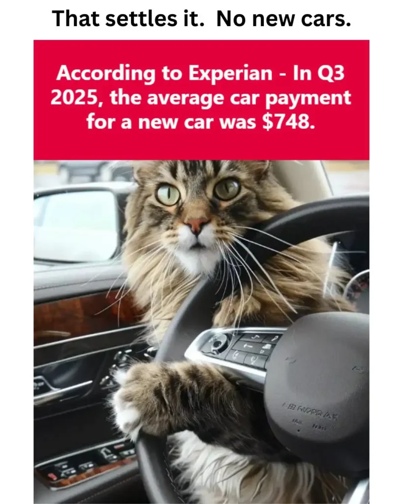 A maine coon cat with its paw on a car steering wheel and text: "That settles it. No new cars. According to Experian - In Q3 2025, the average car payment for a new car was $748."