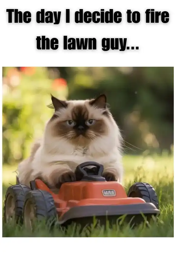 A cat riding on a lawn mower.