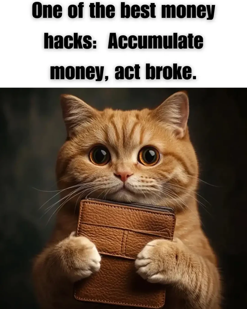 An orange cat with a wallet in paws and text: "One of the best money hacks: Accumulate money, act broke."