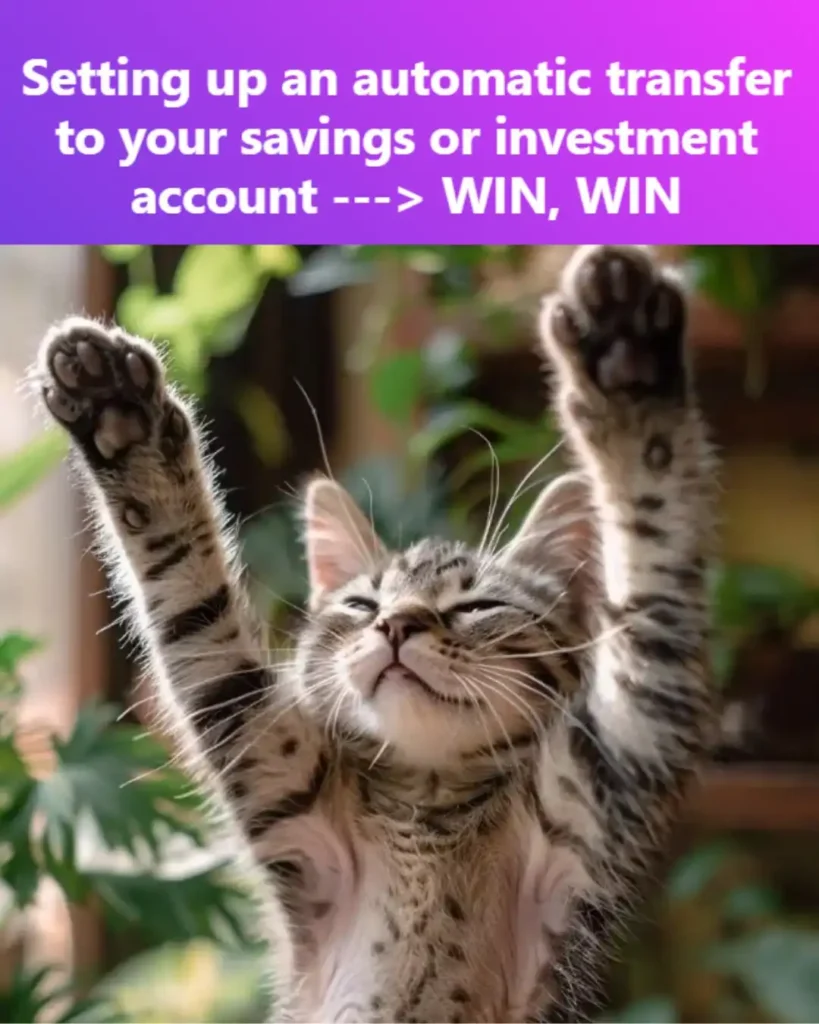 kitten with paws in the air with text: "Setting up an automatic transfer to your savings or investment account Win, Win."
