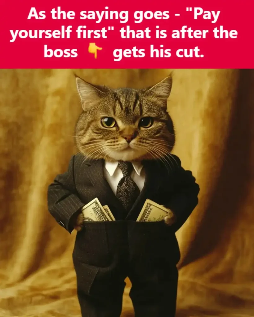 A cat in a tuxedo with money in its pockets and the text: "As the saying goes - 'Pay yourself first' that is after the boss gets his cut."