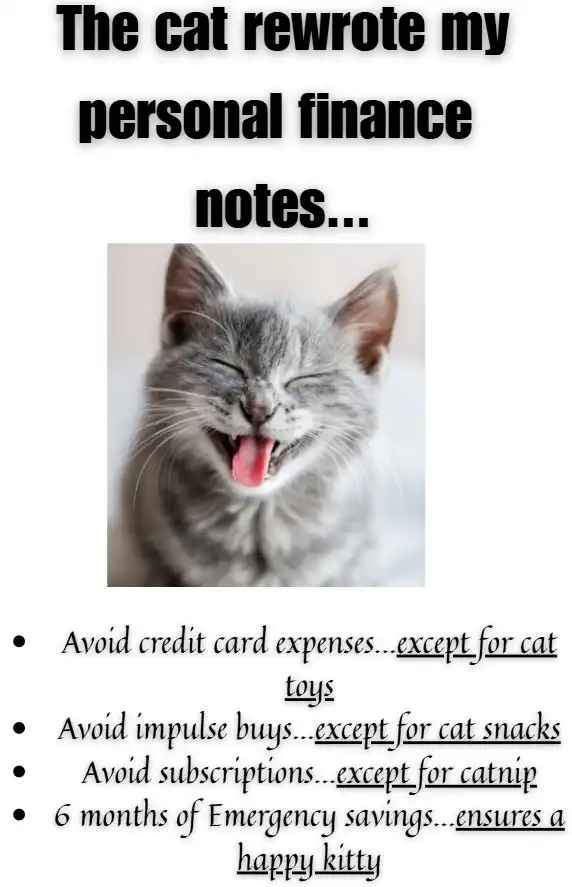 A laughing gray cat with text: "The cat rewrote my personal finance notes."