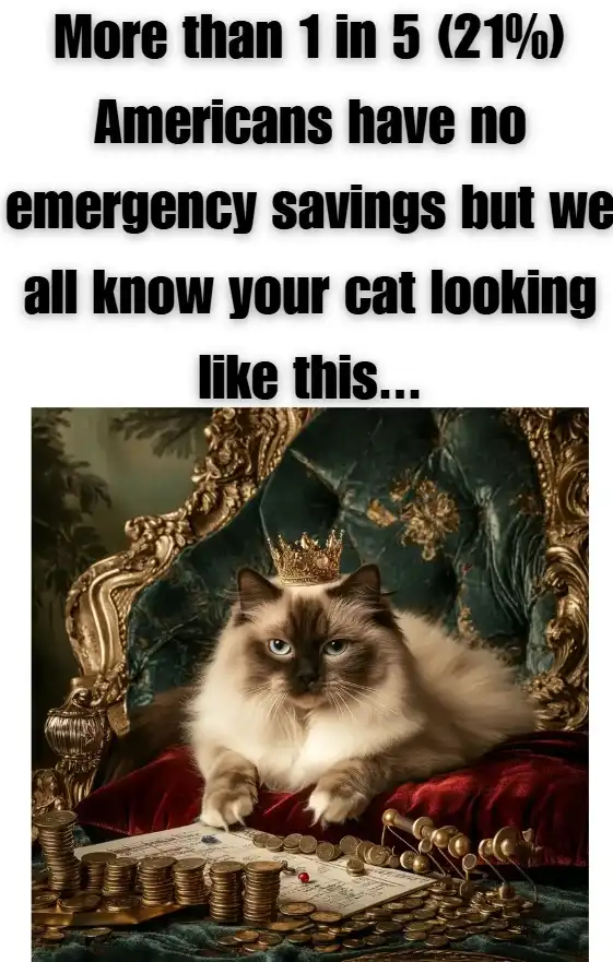 A cat looking like royalty with a crown in a fancy chair with text: "More than 1 in 5 (21%) Americans have no emergency savings but we all know your cat looking like this...