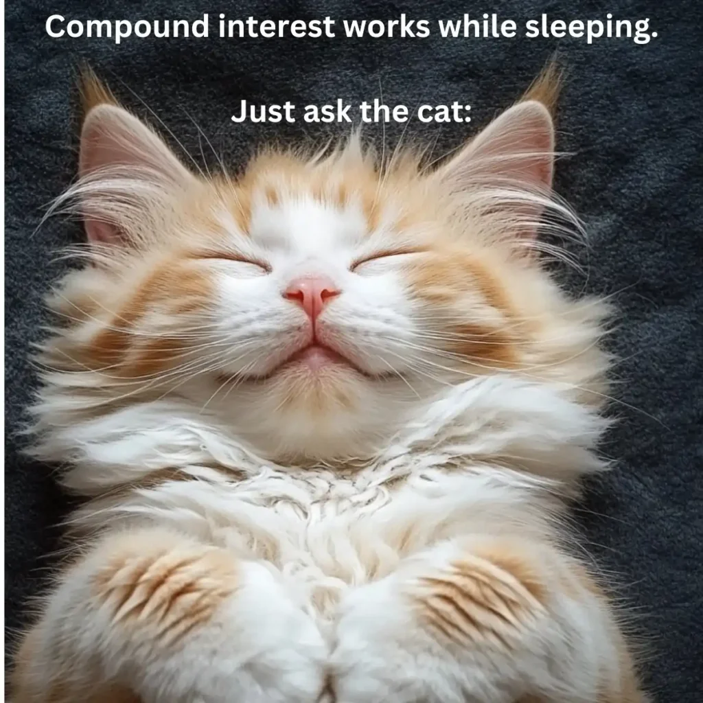 A smiling cat that is sleeping with the text: "Compound interest works while sleeping. Just ask the cat."