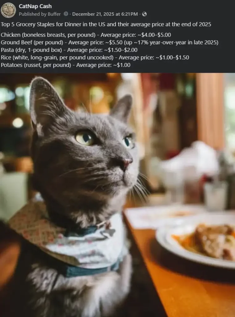 Gray cat with dinner plate next to him with text: "Top 5 grocery staples for dinner in the US and their average price at the end of 2025."