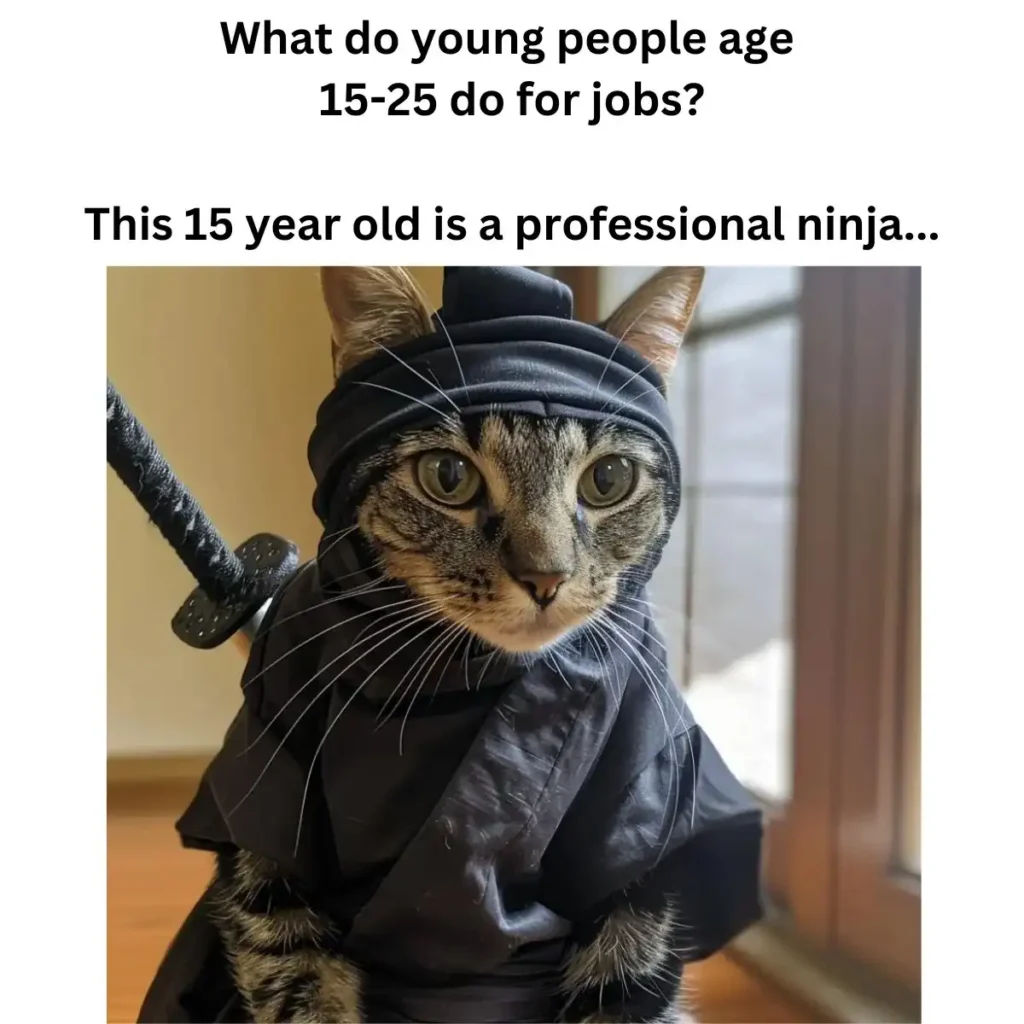 A cat dressed in a ninja outfit