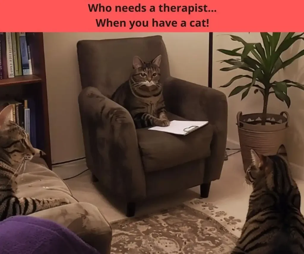 A cat in a chair with a clipboard being a therapist for another cat.