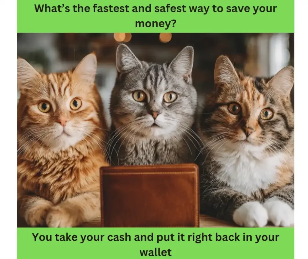 Three cats in front of a wallet with the text: "What's the fastest and safest way to save your money? You take your cash and put it right back in your wallet."