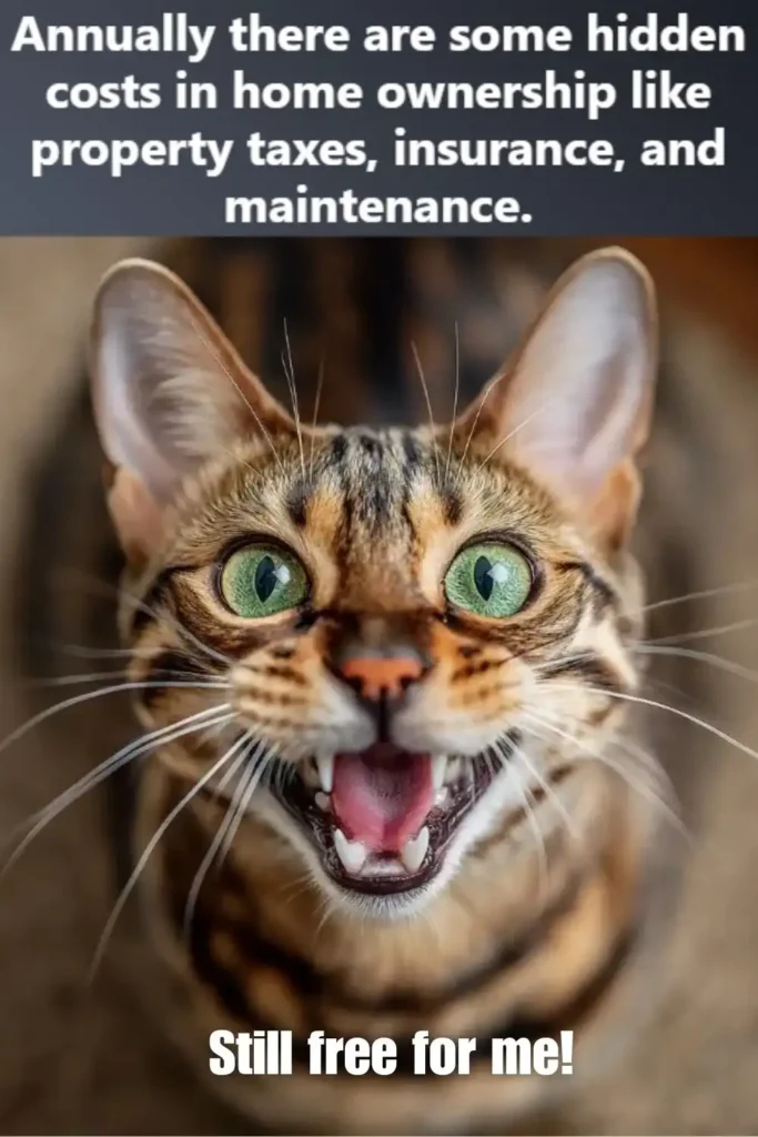 A bengal cat with a loud meow face and text: Annually there are some hidden costs in home ownership like property taxes, insurance, and maintenance. The cat: Still free for me!