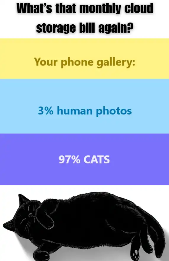 A black cat laying down and sleeping under the text: What's that monthly cloud storage bill again? Your phone gallery: 3% human photos 97% CATS