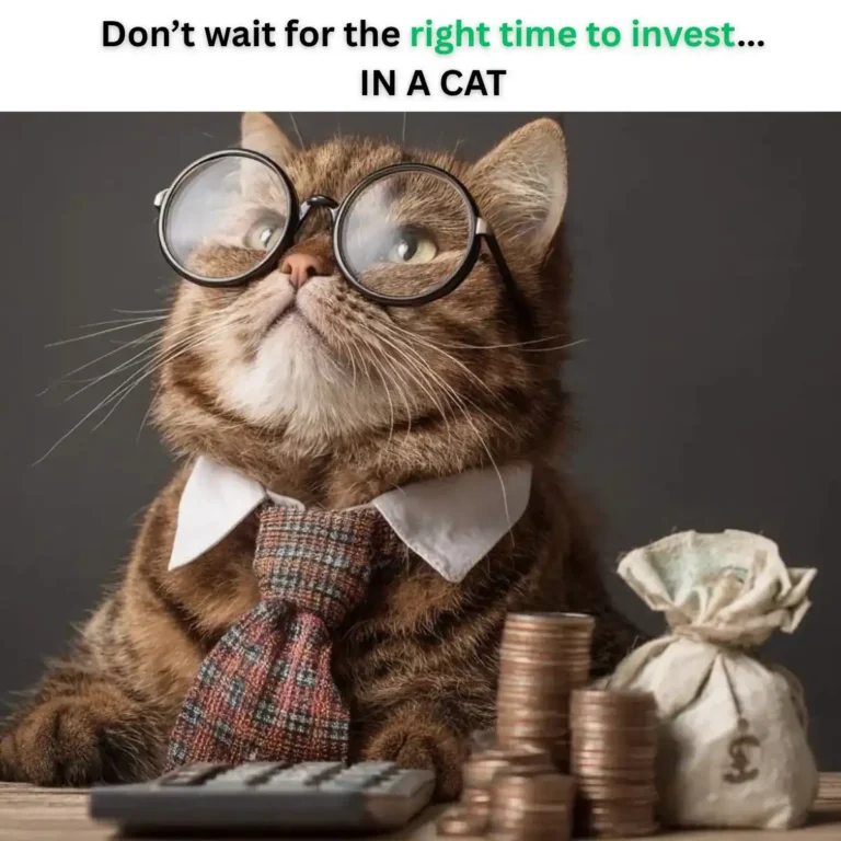 A cat with glasses, a tie, calculator, and coins next to it with text: Don't wait for the right time to invest...IN A CAT.