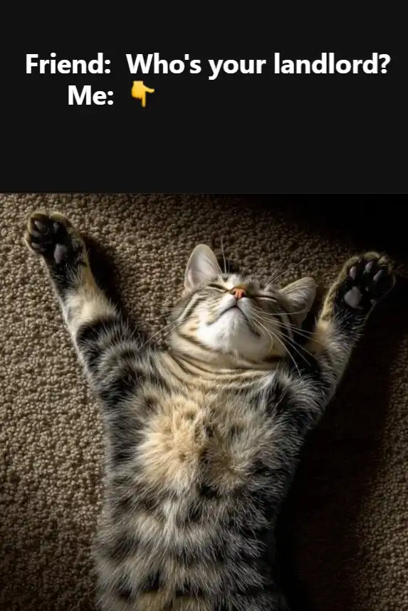 Cat laid out on the floor with paws spread. Text: Friend: Who's your landlord? Me: Points to the cat.