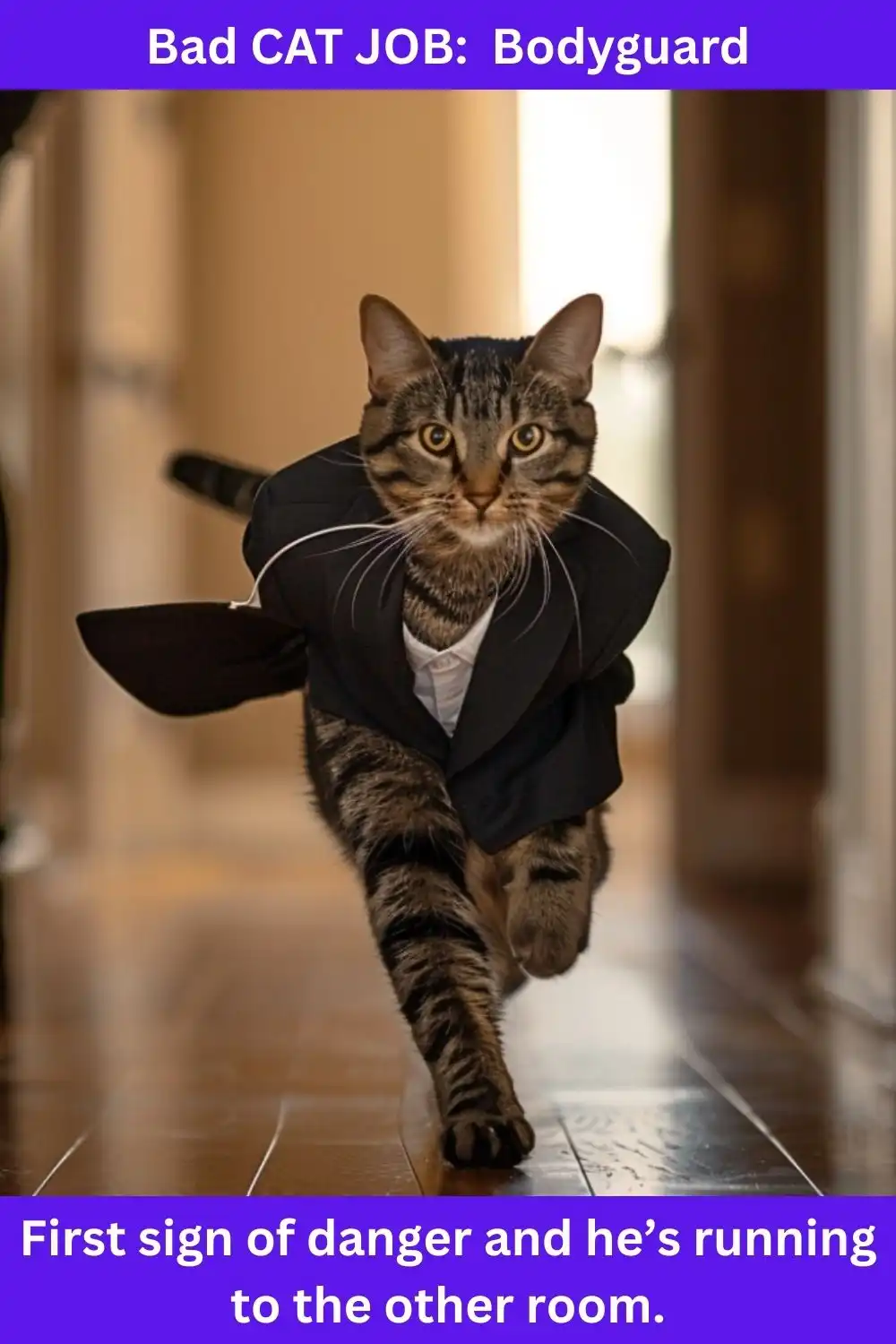 BAD CAT JOB: Bodyguard First sign of danger and he's running to the other room...