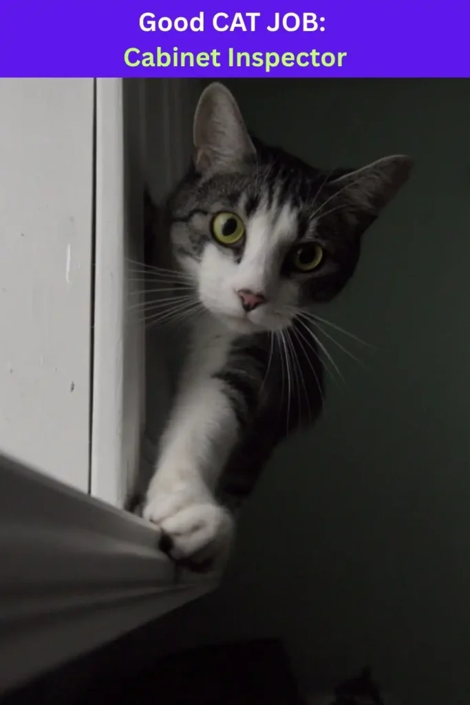 A white and brown cat with green eyes crawling inbetween kitchen cabinets. Text above "Good cat job: Cabinet Inspector"