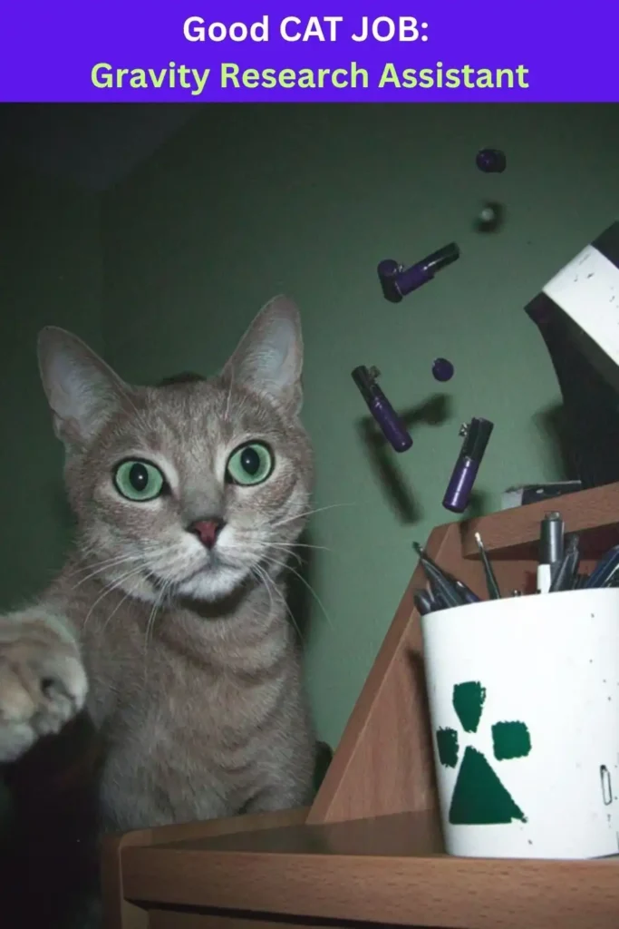 A gray cat with green eyes looking surprised as office supplies are flying from a cup. Text above: "Good Cat Job: Gravity Research Assistant."