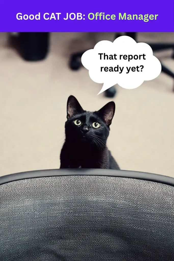 A black bombay cat standing behind an office chair with a thought bubble that reads "That report ready yet." with text above that says: Good Cat Job "Office Manager."