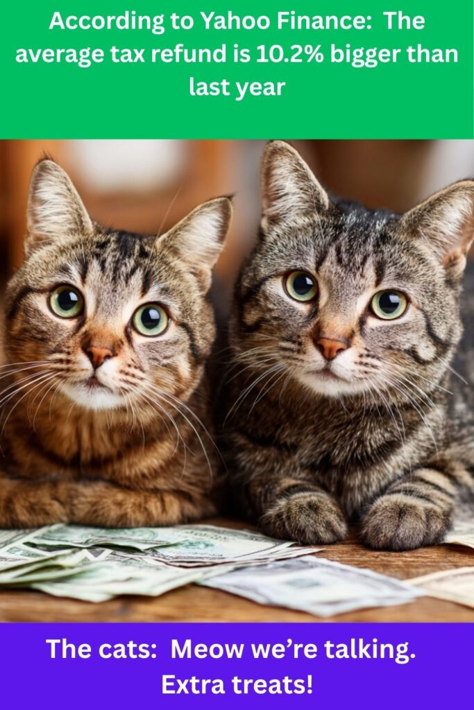 According to Yahoo Finance: The average tax refund is 10.2% bigger than last year The cats: Meow we’re talking. Extra treats!