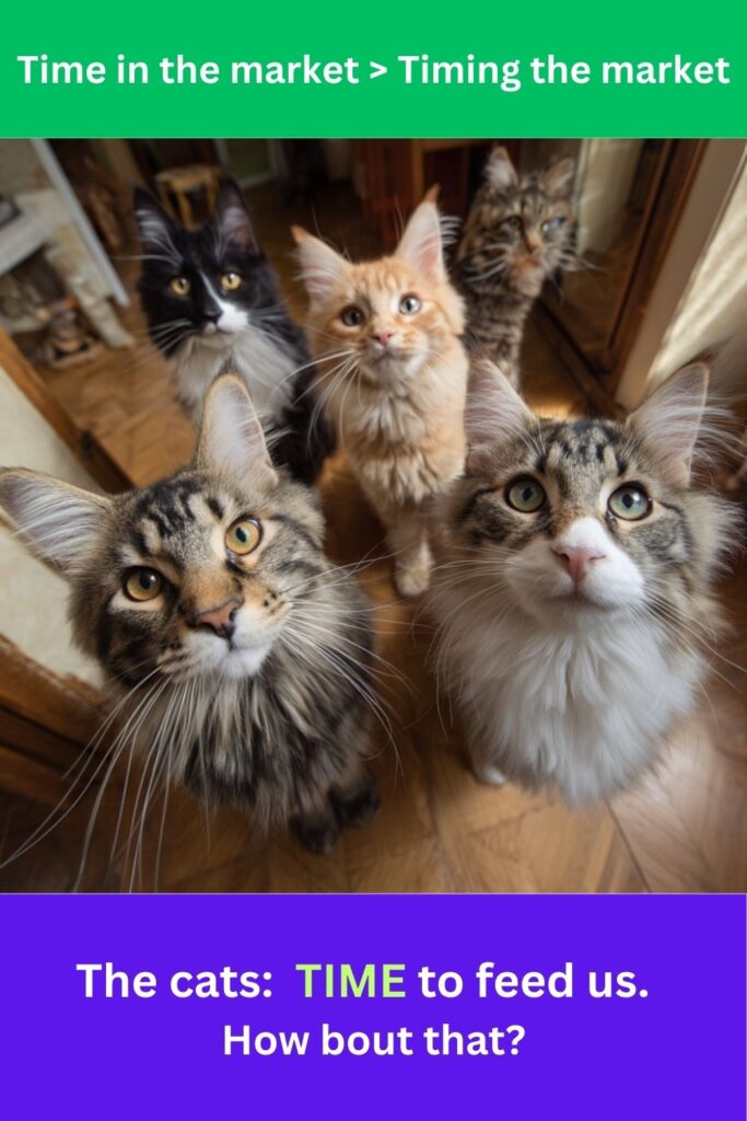 Time in the market > Timing the market The cats: TIME to feed us. How bout that?