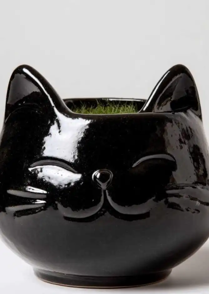 black ceramic, glossy pottery shaped like a cat