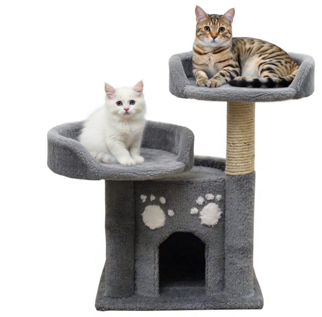 cute, fluffy, white kitten and bengal cat on double perch cat condo