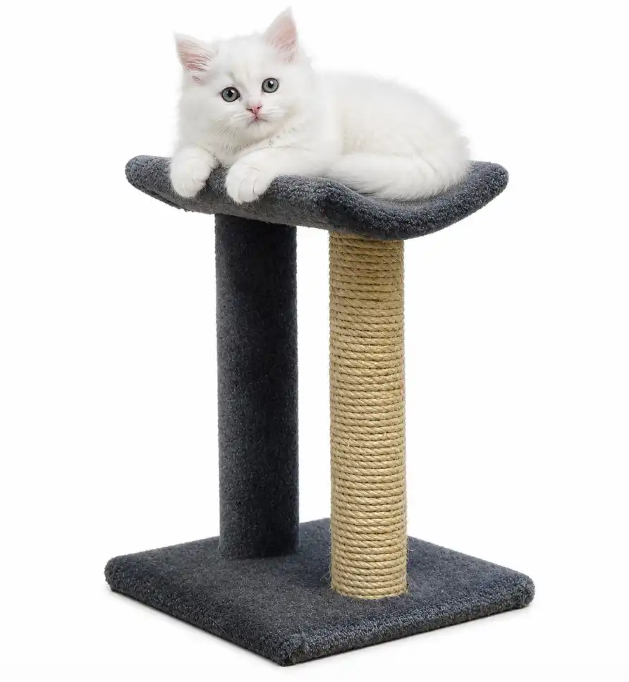 A fluffy white kitten with soft fur and blue eyes rests on a small gray cat perch with two posts—one wrapped in sisal rope—against a white studio background.